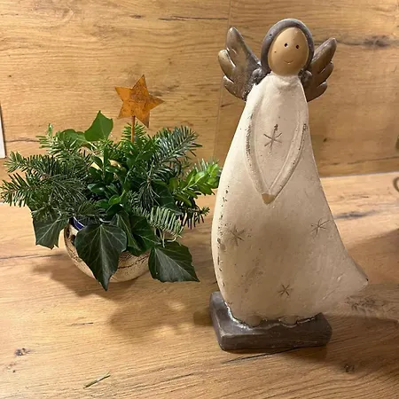 Der Musikus Kleinarl