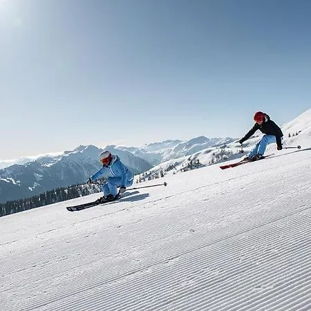 Σπίτι διακοπών Der Musikus Kleinarl